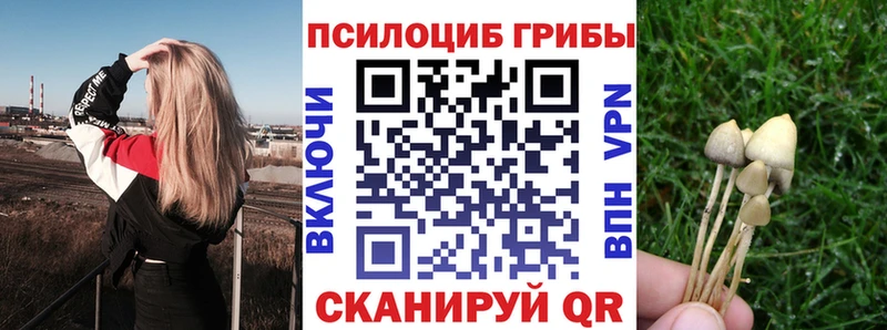 Купить где  Новокубанск  Псилоцибиновые грибы Psilocybine cubensis 